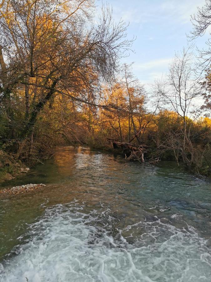 L'Arbre Qui Chante Saint-Etienne-de-Sermantin Eksteriør bilde